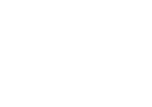Forced Logótipo AAF-Negativo